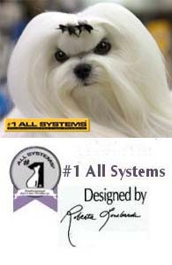 #1 All Systems pełna linia kosmetyków dla psów i kotów